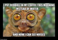 /album/photogallery/funny-animals-2-052-jpg/