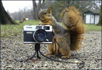 /album/photogallery/funny-animals-70-jpg/